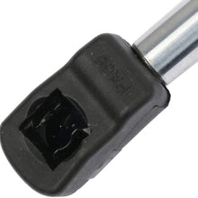 LUJUNTEC Lift Supports PM3155 Compatible for Nissan Quest 2011-2017 Liftgate Lift Strut Shocks