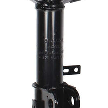 HANSCOSTAR 1 Pair Front Shock Absorber Struts & Spring Kit Fit 1998-2002 Prizm & 1993-2002 Corolla
