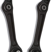 2 Front Lower Control Arms with Bushing, for Chry 300 RWD 2005-2010, Dodge Challenger RWD 2008-2010, Dodge Charger RWD 2006-2010, Dodge Magnum RWD 2005-2008, Pair