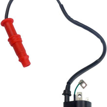 TIKSCIENCE Ignition Coil and Spark Plug Cap,Fit for Polaris Magnum 1995-1998,for Polaris Magnum 500 2000-2003,for Polaris Scrambler 500 1997-2003,Replace 3085227/3084690 -Black