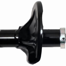 Gabriel G56819 Ultra Strut, 1 Pack