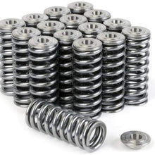 Skunk2 344-05-1410 Alpha Valve Spring and Titanium Retainer Kit for Honda K-Series Engines
