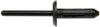 Dorman 700-590 Rivet