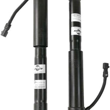LuftMeister 48530-69485 Pair Rear Shock Absorber For Toyota Land Cruiser Prado 120 2002-09, Lexus GX470 4.7L 2003-09 48530-69185, 48530-69205,48530-60071