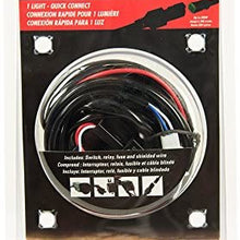 Blazer CWL610 9' Quick-Connect Wire Harness for 1 Light