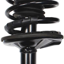 HANSCOSTAR 1 Pair Front Shock Absorber Struts & Spring Kit Fit 1998-2002 Prizm & 1993-2002 Corolla