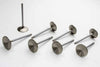 Manley 118748 Valve Stnls Int Set/8