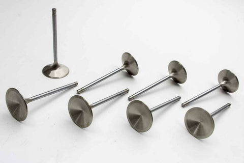 Manley 118748 Valve Stnls Int Set/8