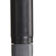 Delphi GN10679 Ignition Coil