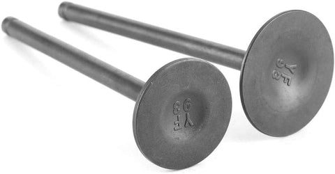 Engine Head Intake Exhaust Valves, Pair Steel Alloy Engine Head Intake Exhaust Valve Parts Fits for SHINERAY ZHONGSHEN ZSCB 250cc