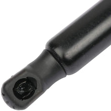 QUALINSIST Lift Struts PM3155 Fit for 2017-2011 N-issan Quest Liftgate Lift Supports
