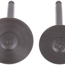 SCITOO 16pcs Engine Intake Exhaust Valves Kit fit for 02-06 for Nissan Sentra Altima 05-17 for Nissan Frontier 09-12 for Suzuki Equator Intake Valve IV1724-8 EV1724-8