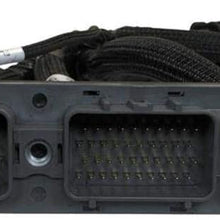 AEM 30-3519 Jumper Harness (Infinity Series 5 Plug & Play), 1 Pack