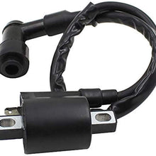 Amhousejoy Ignition Coil for 1999-2004 Fit for Yamaha Bear Tracker 250 YFM250 ATV Coils