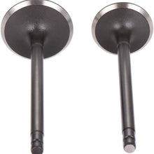 SCITOO 16pcs Engine Intake Exhaust Valves Kit fit for 02-06 for Nissan Sentra Altima 05-17 for Nissan Frontier 09-12 for Suzuki Equator Intake Valve IV1724-8 EV1724-8