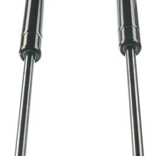 Set of 2 Tailgate Trunk Liftgate Lift Support Struts Gas Shock Spring for Toyota Highlander 2010-2013 (with Power Liftgate)
