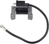 Wellsking 591459 Ignition Coil for BS 492341 490586 495859 491312 715231 690248