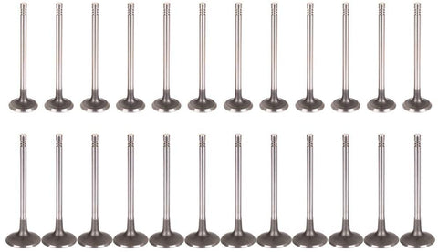 ECCPP 24pcs Engine Intake Exhaust Valves Kit for Audi A4 A4 Quattro A5 Quattro A6 A6 Quattro Q5 3.2L IM4512LB