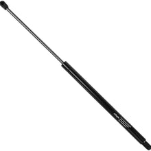 2pcs Rear Trunk Lids Lift Supports Struts Gas Springs Shocks for Buick Century 00-05, Buick Regal 99-04, Oldsmobile Intrigue 98-02 With Spoiler