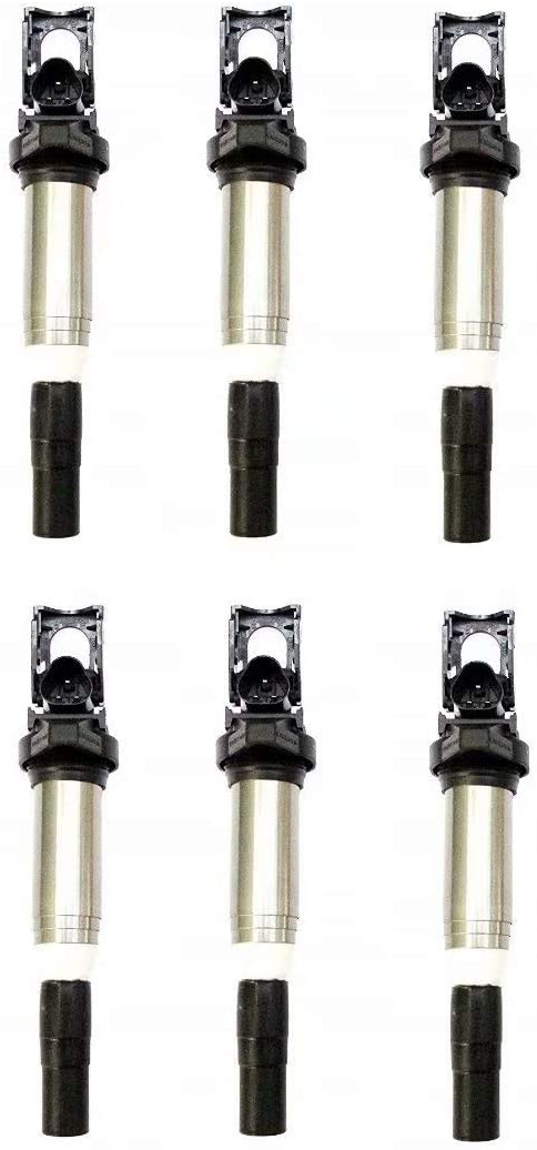 Performance 6Pcs Ignition Coil for BMW Models with Delphi Version Coil 12138616153 NEW