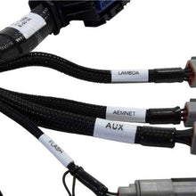 AEM 30-3519 Jumper Harness (Infinity Series 5 Plug & Play), 1 Pack