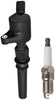 ENA Set of 8 Platinum Spark Plugs and 8 Ignition Coils compatible with 1997-2011 compatible with Ford Crown Victoria Mercury Grand Marquis Lincoln Town Car E-150 4.6L V8 FD503 SP493
