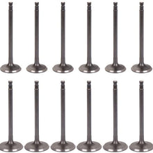 SCITOO 16pcs Engine Intake Exhaust Valves Kit fit for 02-06 for Nissan Sentra Altima 05-17 for Nissan Frontier 09-12 for Suzuki Equator Intake Valve IV1724-8 EV1724-8