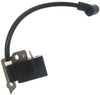 Ignition Coil for Homelite Ryobi PS02762 4306401 308064001 850080001 RY30000 RY52001 UT08542 UT20042