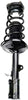 RUILIJIA Rear Complete Strut & Spring Assembly Fit 93-02 Corolla Geo Prizm hevrolet Prizm 171954