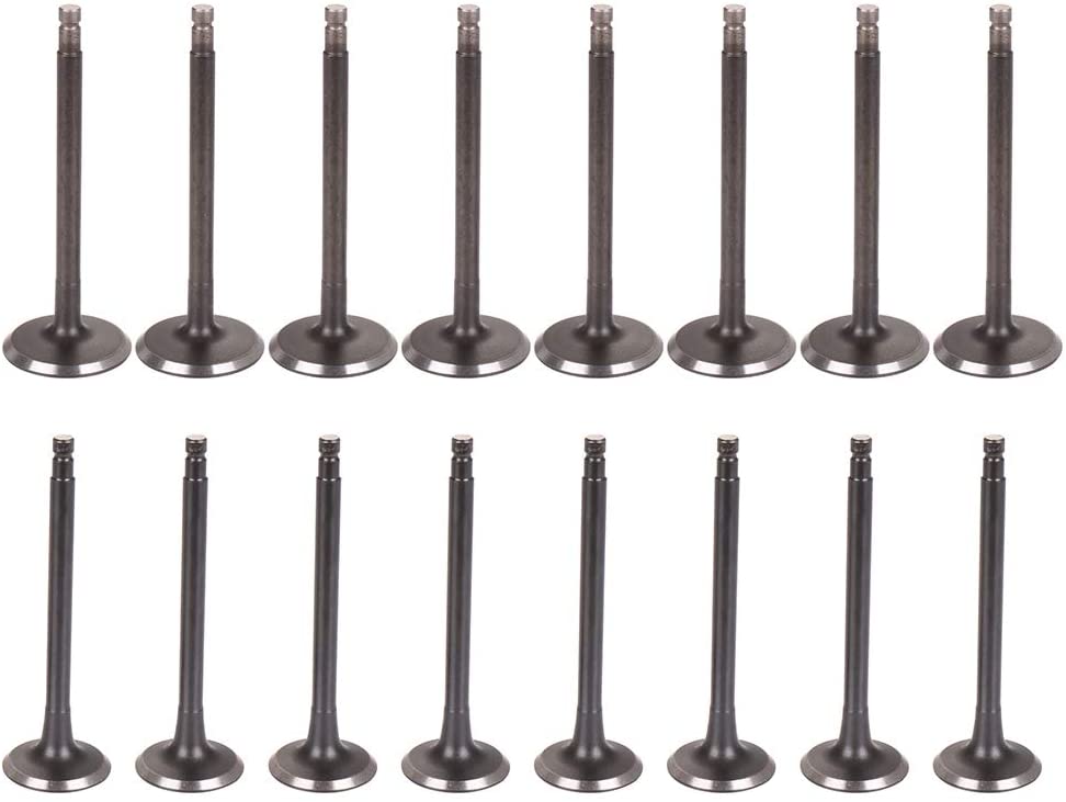 ECCPP 16pcs Intake Exhaust Valves Set for Nissan Altima Frontier Xterra 2.4L 13202-VJ200