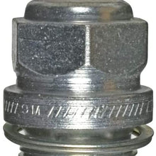 Champion Champion Industrial 562 Spark Plug (Carton of 1)
