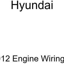 Genuine Hyundai 91200-25012 Engine Wiring Assembly