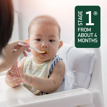 (10 Pack) Beech-Nut Stage 1, Beef & Beef Broth Baby Food, 2.5 oz Jar
