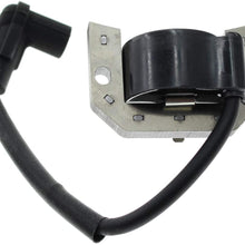 Carbhub 21171-7007 Ignition Coil for Kawasaki 21171-7007 21171-7013 21171-7034 21171-7037