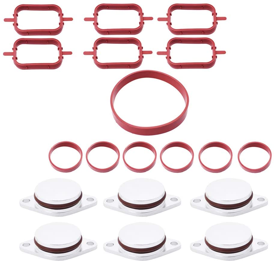 labwork Diesel Swirl Flap Blanks Replacement Bungs with Intake Manifold Gaskets with Intake Manifold Gaskets Fit for BMW M47 E87 E46 E90 E91 E92 E93 E39 E60 M57