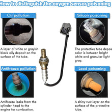 234-4076 Oxygen Sensor for 1996-2001 Jeep Cherokee TJ Dodge Dakota Replacement Oxygen Sensor Upstream 234-4076 13100