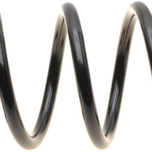 ACDelco 45H2172 Professional Rear Coil Spring Set