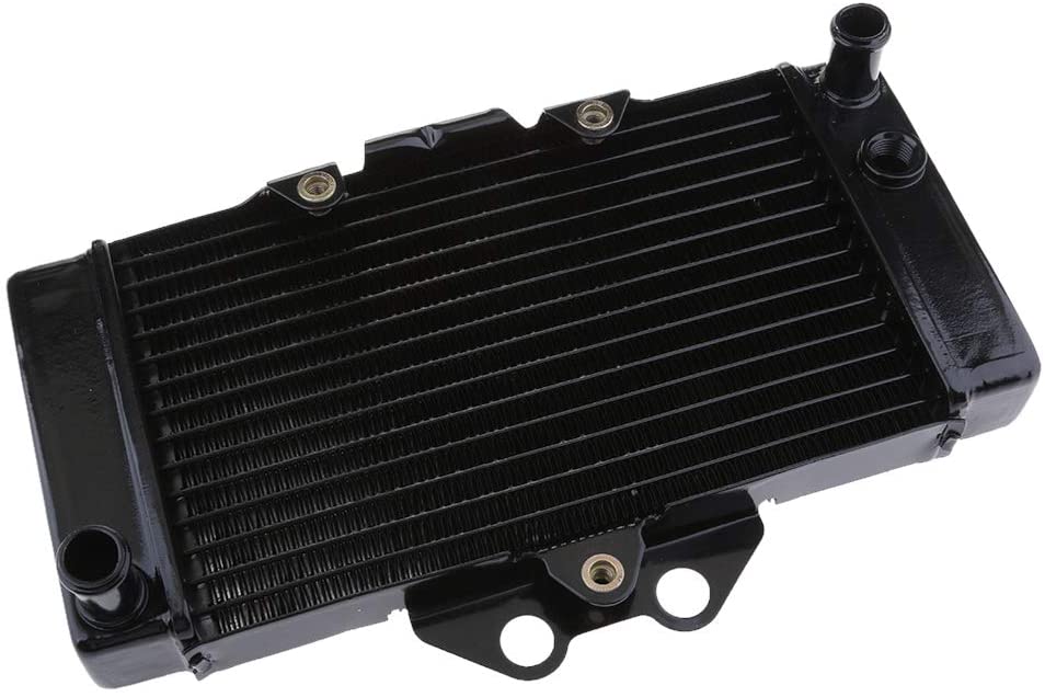 Gazechimp Aluminum Engine Cooler Radiator for VTR250 2000 2001 2002 2003 2004