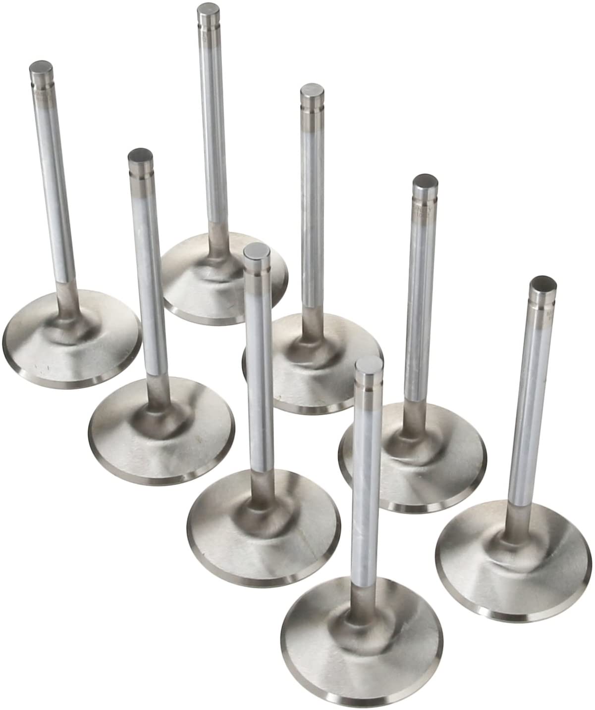 Manley 113628 Valves/Set8