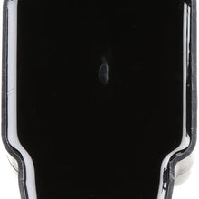 Delphi GN10219 Ignition Coil
