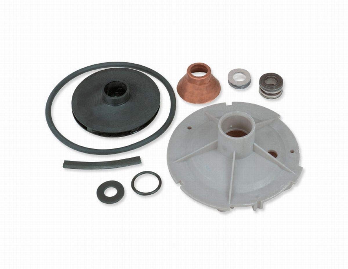 Flotec FPP1513