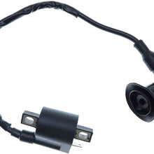 Holdwell New Ignition Coil for Polaris Sportsman 90 2001 2002 2003 2004 2005 2006