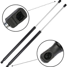 ANPART Liftgate Lift Support Struts Fit for Nissan Quest 2011-2017