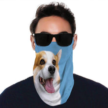 Dog and Cat Over Blank Sign Dog, 1with 2 Filters Face Neck Gaiters ana Scarf wea