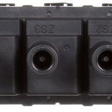 Delphi GN10465 DIS Ignition Coil