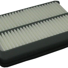 ECOGARD XA4645 Air Filter