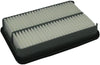 ECOGARD XA4645 Air Filter