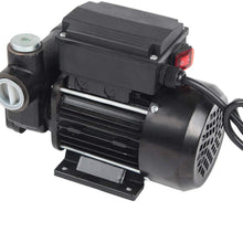 Trupow 110V AC 20GPM Electric Self-priming Diesel Kerosene Oil Fuel Transfer Extractor Pump