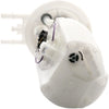 Delphi FG0084 Fuel Pump Module