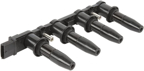 Delphi GN10357 Cassette Ignition Coil